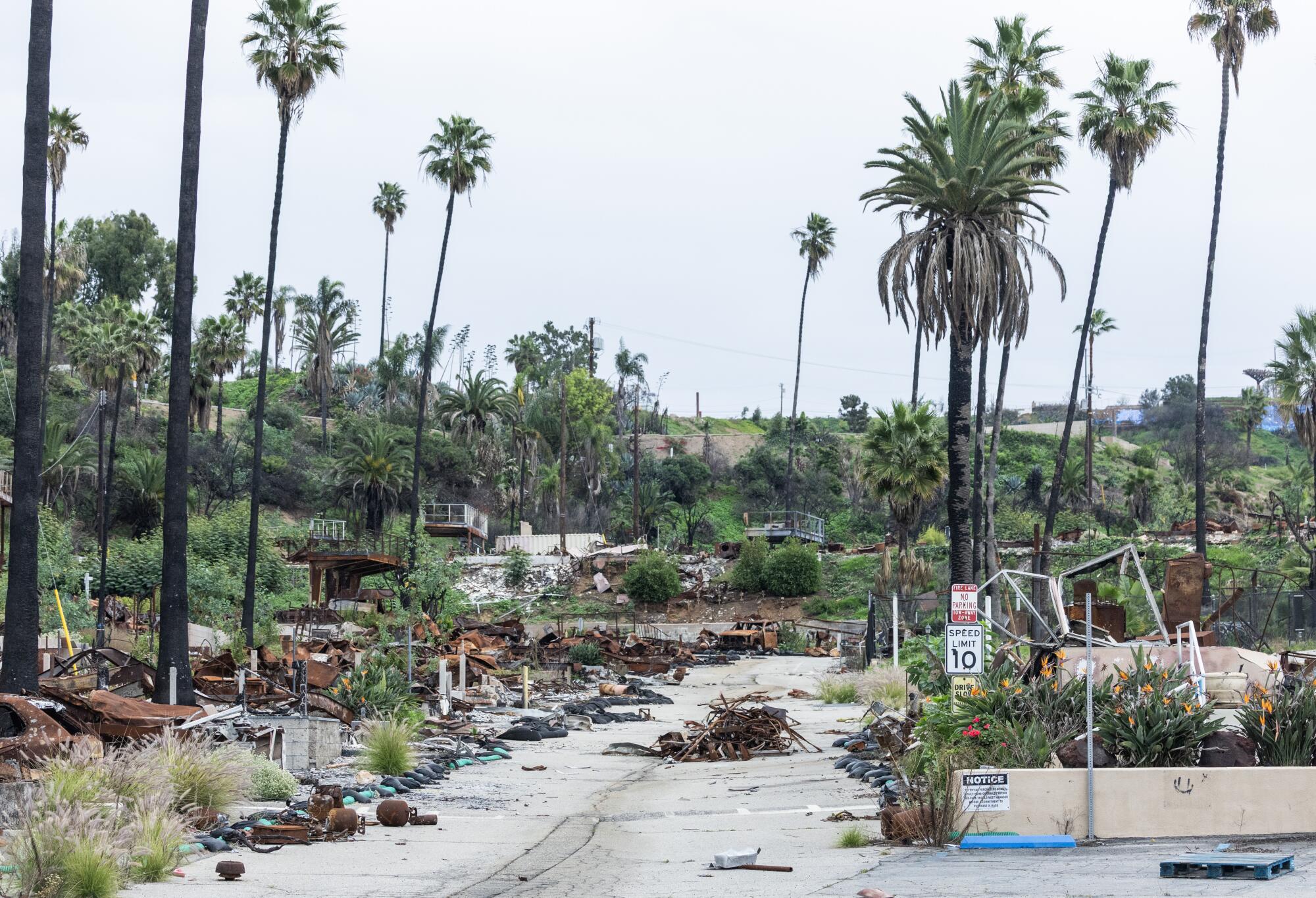 Fire debris at Pacific Palisades Bowl in January 2026.