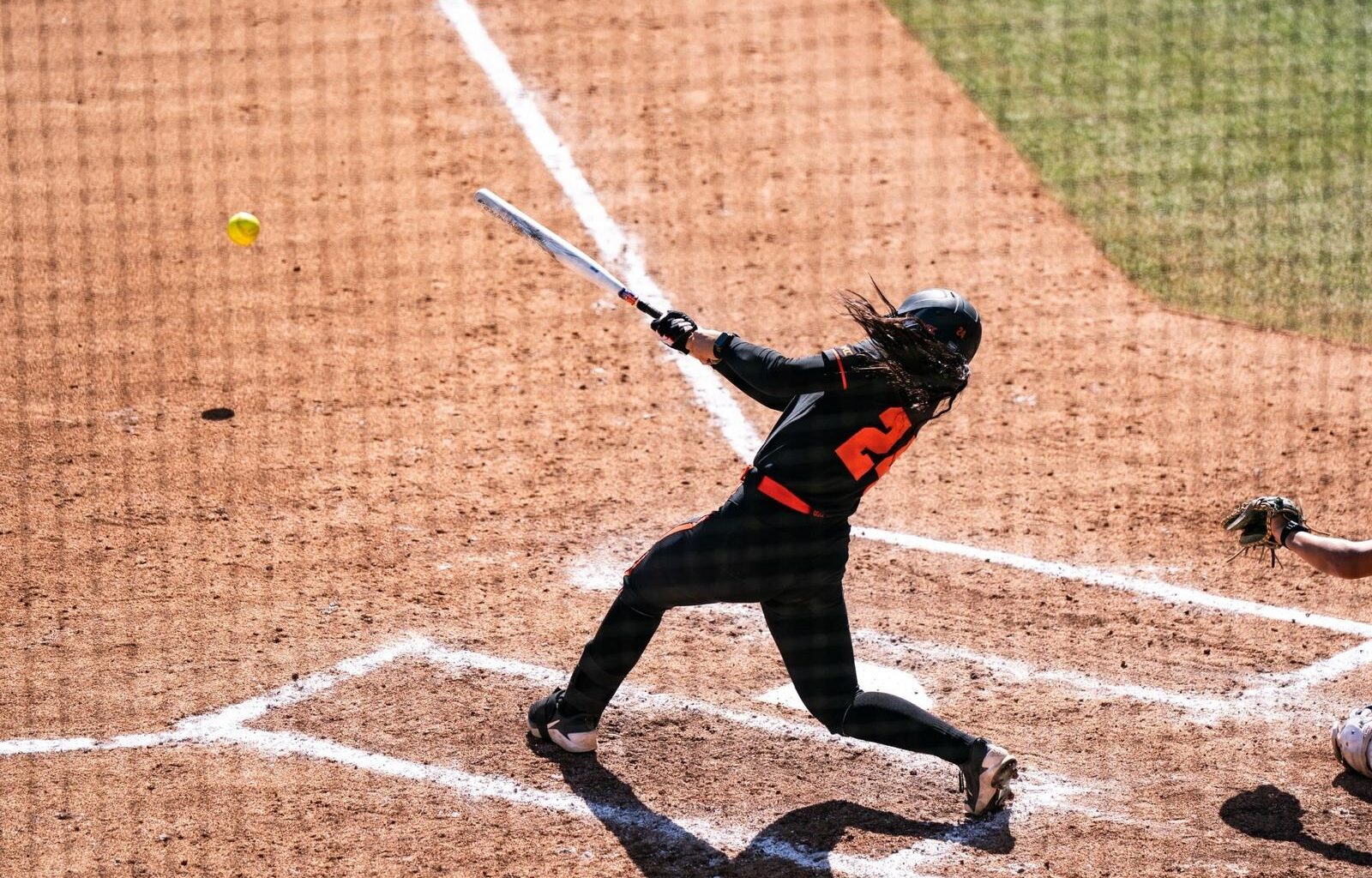 Sacramento State Logo