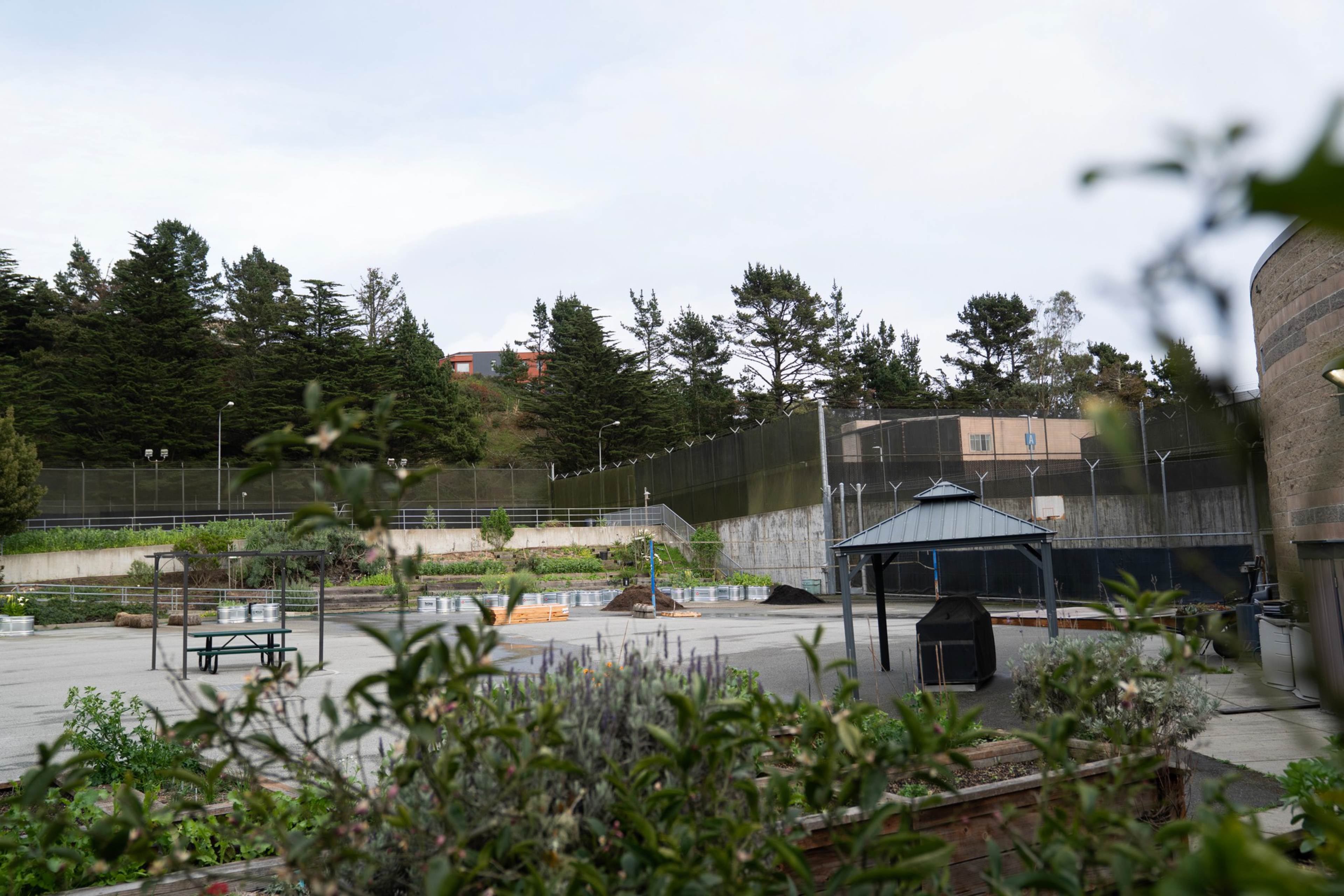 A secure outdoor area with high fences, barbed wire, a shelter, picnic tables, and surrounding greenery under a cloudy sky.