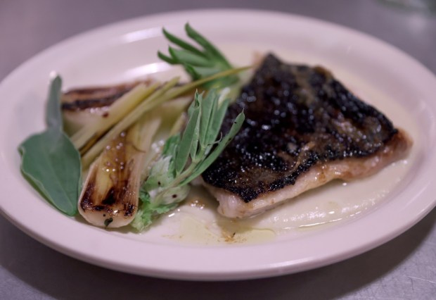The Black Cod with leeks, sauce soubise and confit horseradish is served at Bar Panisse on Shattuck Avenue in Berkeley, Calif., on Monday, Feb. 23, 2026. The restaurant is the latest project from Alice Waters, the California chef who helped start the slow food farm-to-table movement. (Jane Tyska/Bay Area News Group)