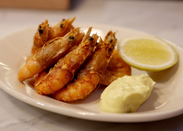 Gulf shrimp with smoked paprika, lemon and aioli is served at Bar Panisse on Shattuck Avenue in Berkeley, Calif., on Monday, Feb. 23, 2026. The restaurant is the latest project from Alice Waters, the California chef who helped start the slow food farm-to-table movement. (Jane Tyska/Bay Area News Group)