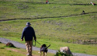 Want to skip the $6 entrance fee to a Santa Clara County park? Your local library has the answer – The Mercury News