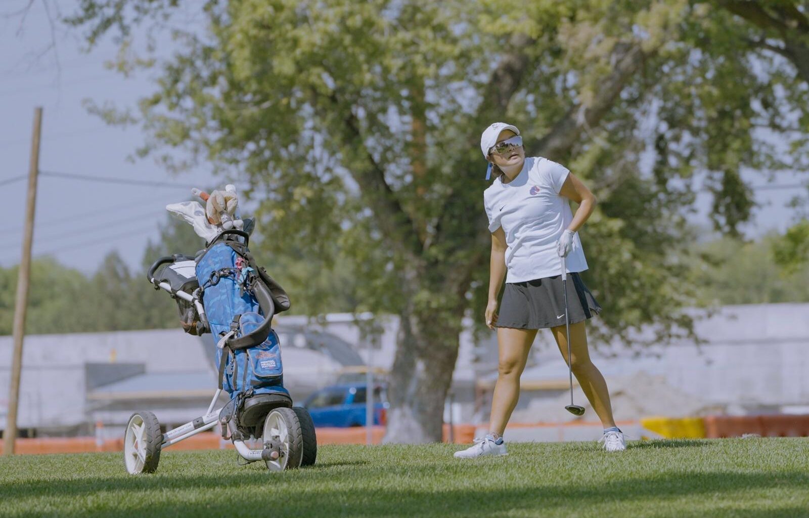 University of Texas Logo