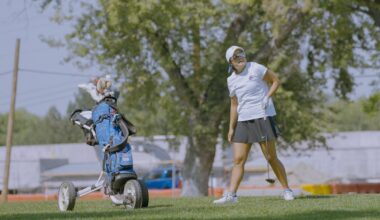 University of Texas Logo