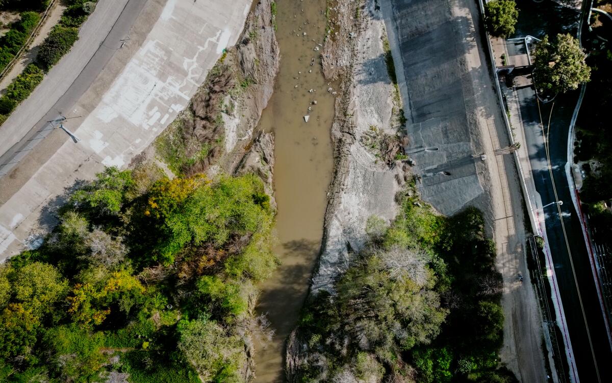 View of end of herbicide spray area (top) along Trabuco Creek in San Juan Capistrano on Feb. 27, 2026.