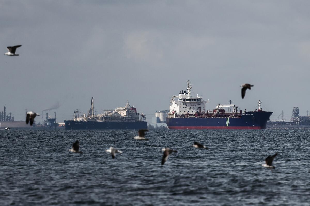 Gas tankers sit offshore.