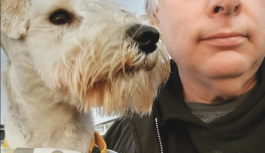 Pleasant Ridge, Pleasant Price - San Francisco Bay Times