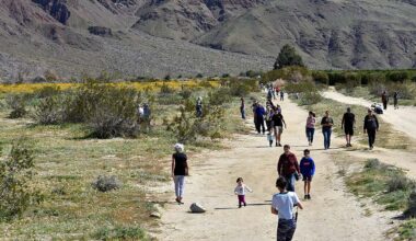 Vote for the Best of California’s State Parks 2026