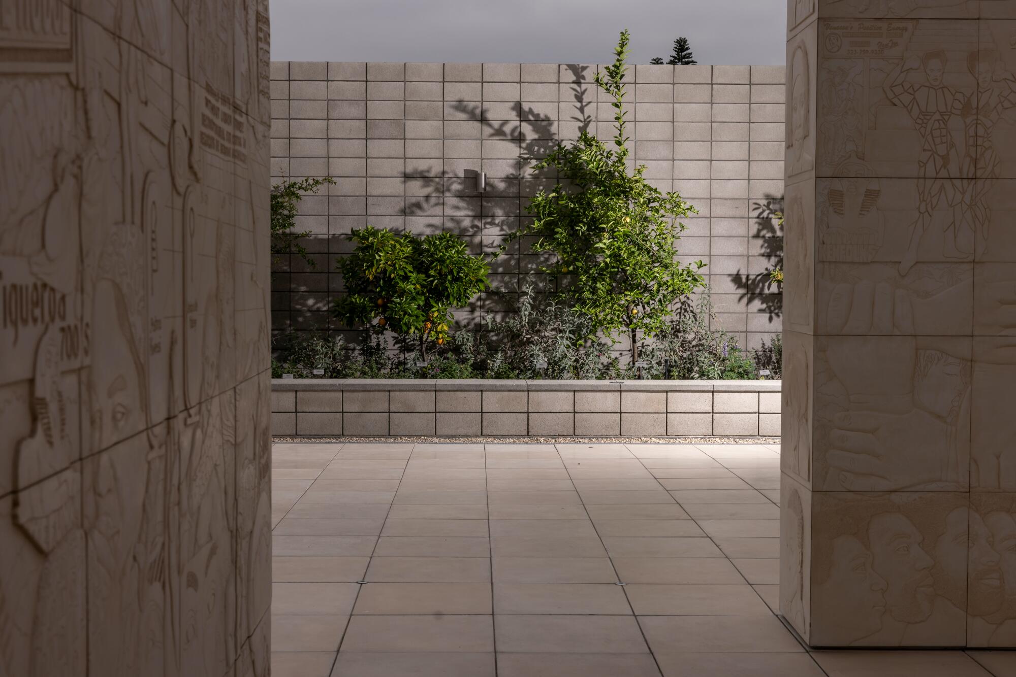 Plants in a public sculpture park.