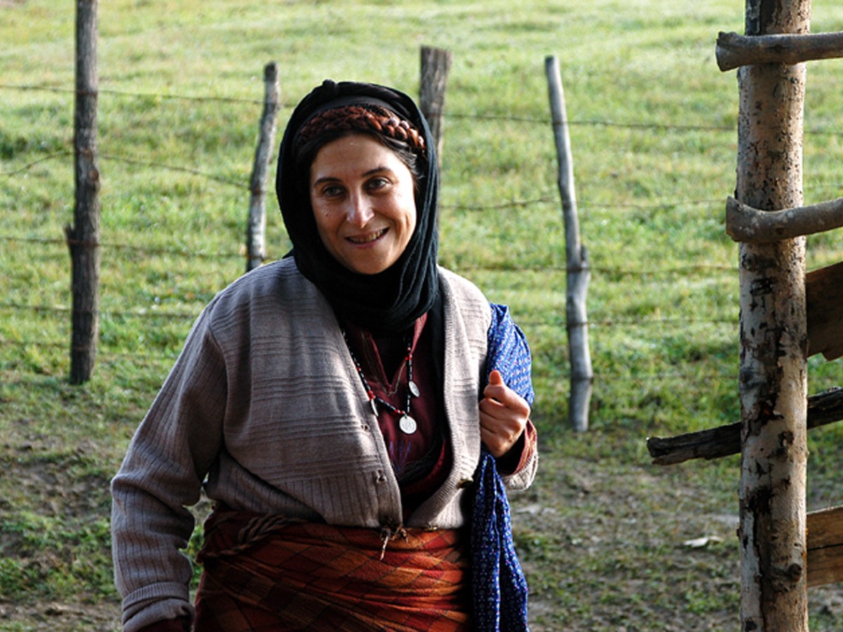 ‘First lady’ of Iranian film to speak in Berkeley during BAMPFA series