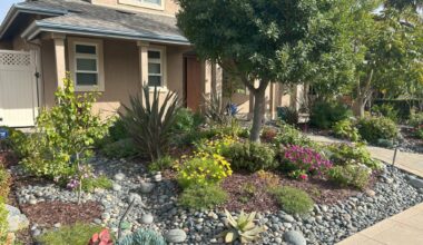 Get ready for earth-friendly home fronts: Volunteer to award green ribbons