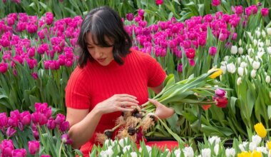 31 Fun Things to Do This Week (3.16.26)