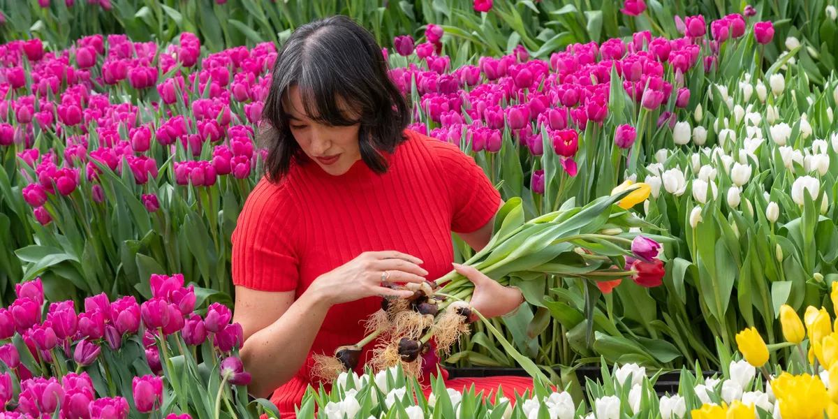 31 Fun Things to Do This Week (3.16.26)