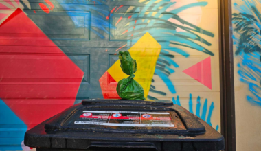 A small green plastic bag tied at the top sits on a black trash bin against a colorful geometric and abstract mural background.