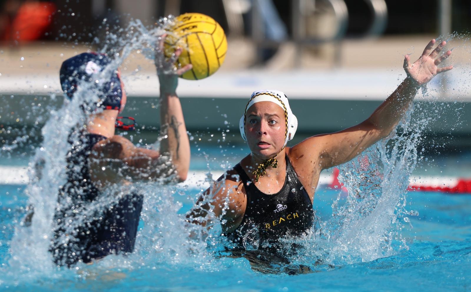 California State University at Fullerton Logo