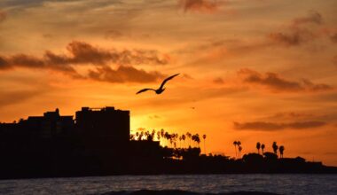 Record-setting March heat back for round two, will linger all week