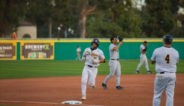 University of Hawaii Logo
