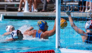 Harvard University Logo