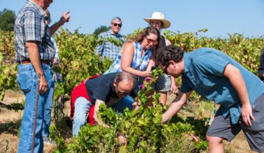 What the heck is happening in Napa? California’s prized wine-growing region is caught in a ‘perfect storm’ crisis