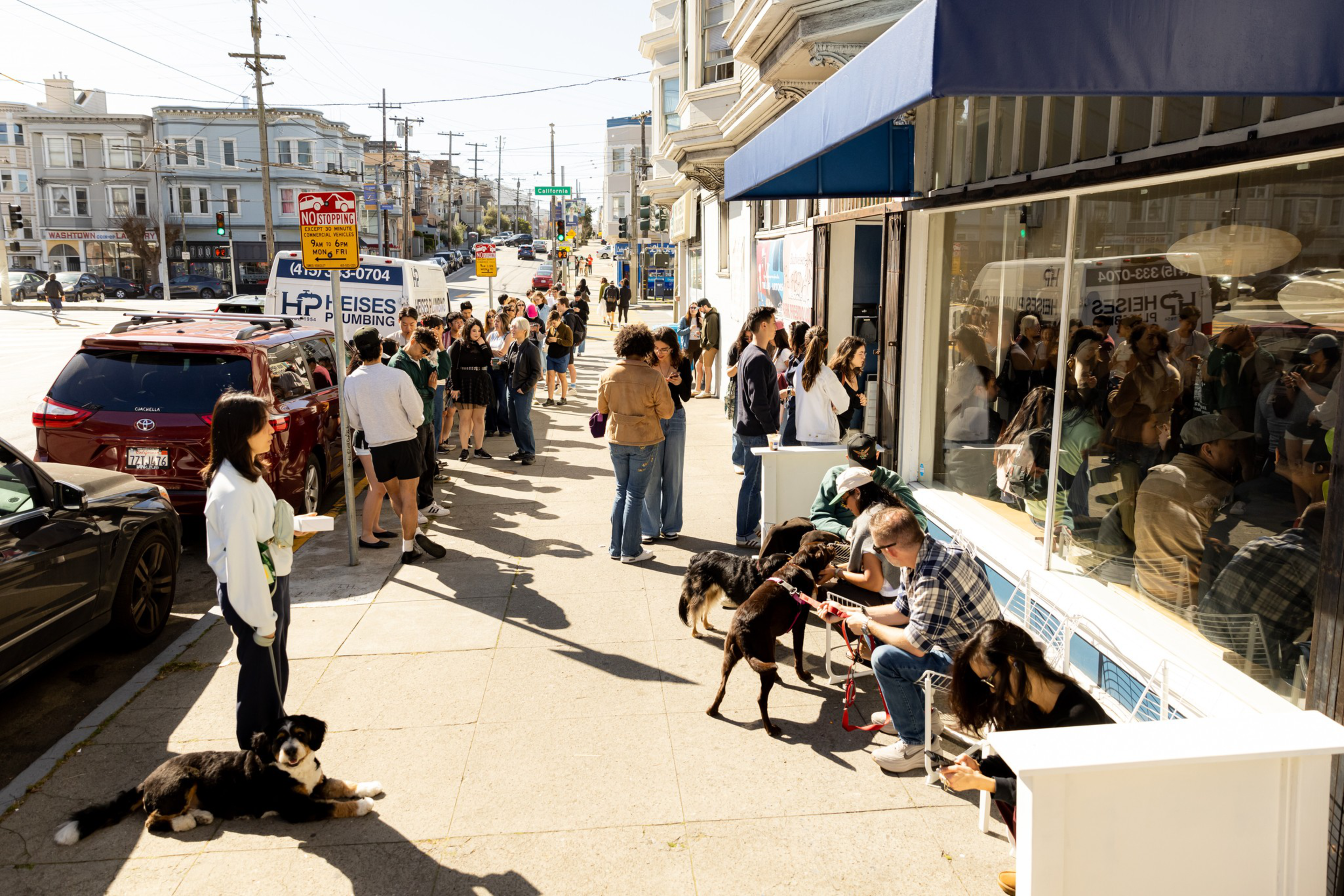 A long line of people stretches along a sunny sidewalk by a blue-awning café, with several dogs lying or standing near their owners.