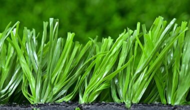 California finds no significant risk to human health from synthetic turf fields | News