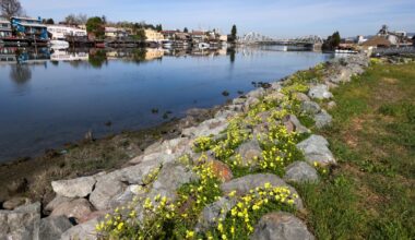 New shoreline park to bring nature, ‘justice’ to East Oakland residents – The Mercury News