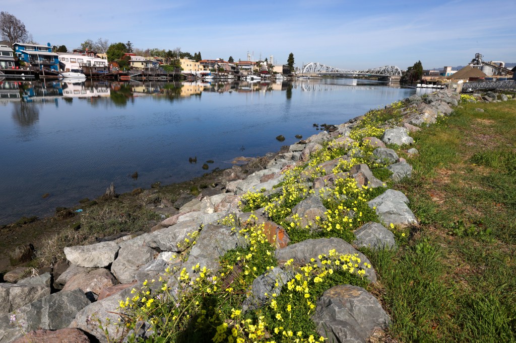 New shoreline park to bring nature, ‘justice’ to East Oakland residents – East Bay Times