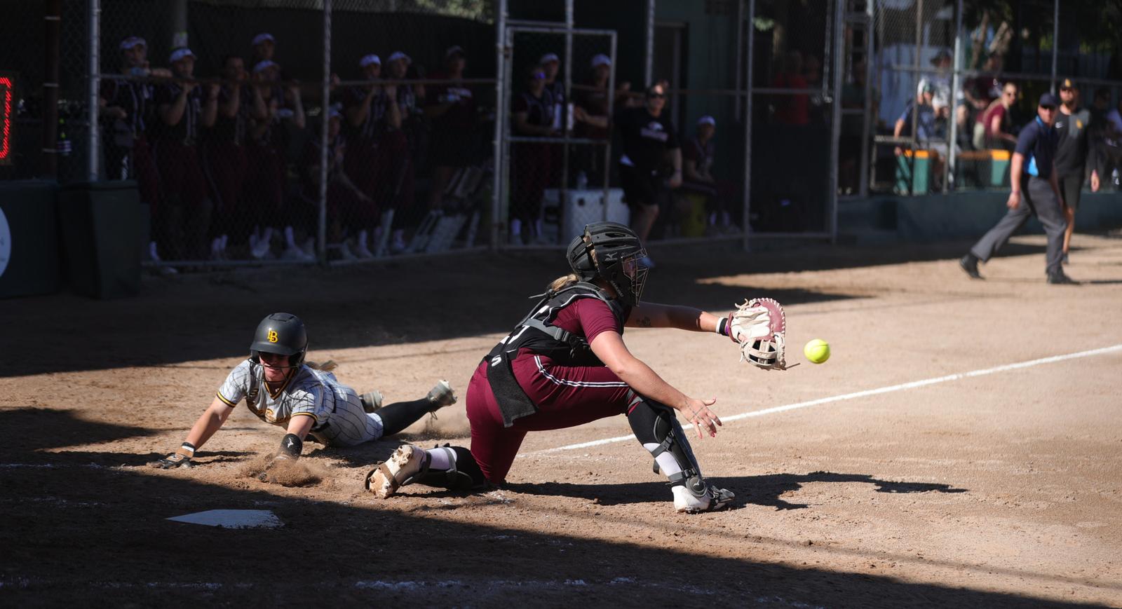 Howard University Logo