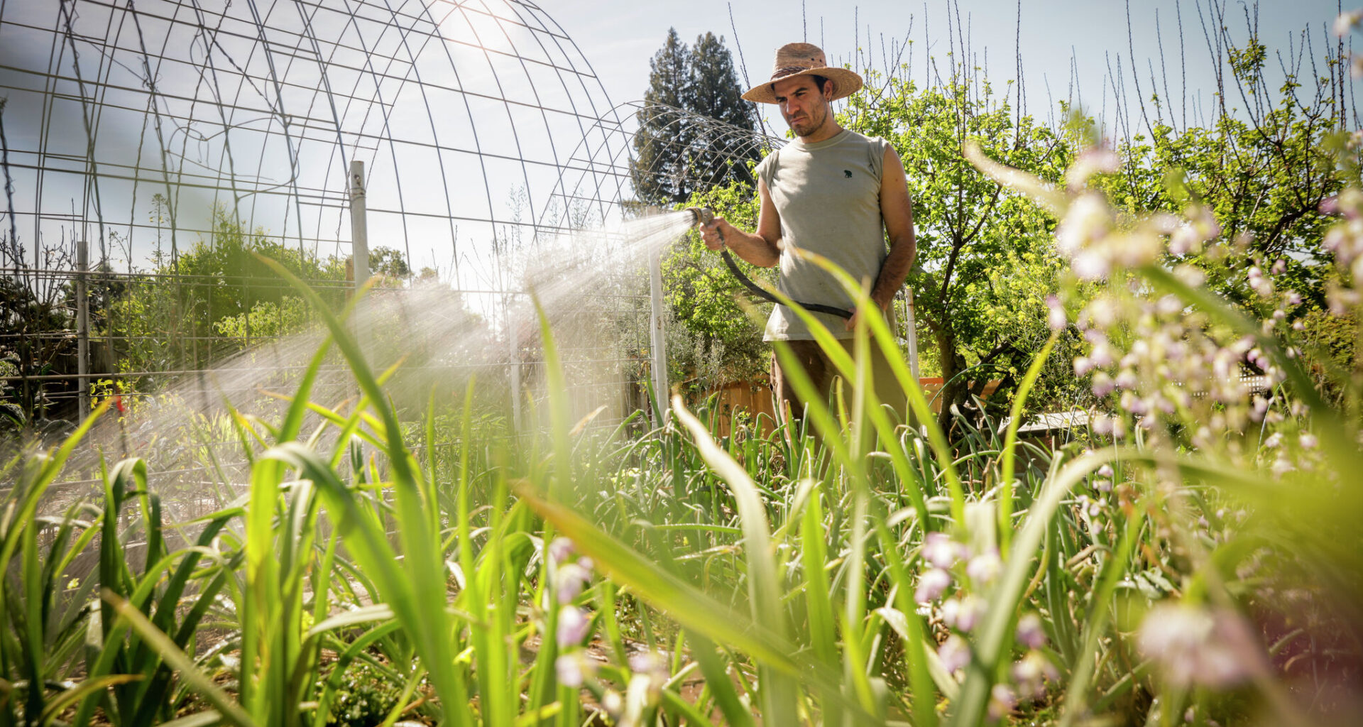Why California's heat wave is off the charts: Here's the science