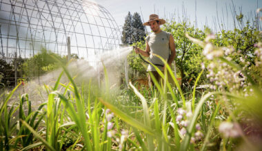Why California's heat wave is off the charts: Here's the science
