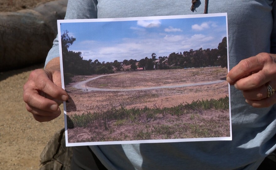 Nancy Janssen, the garden's project manager, holds a photo of how the garden used to look before native plants and trees were planted. Mar. 16, 2026.