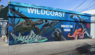 Protect the Locals mural in Pacific Beach. – Cool San Diego Sights!