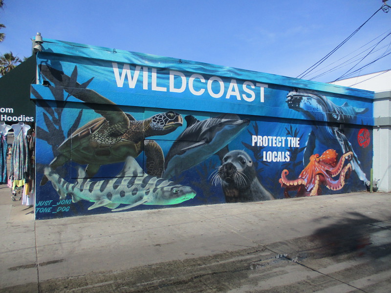 Protect the Locals mural in Pacific Beach. – Cool San Diego Sights!