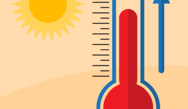 Use caution in threatening heat, killer Long Beach driver waited 23 hours to turn himself in, and Grossman appeal rejected