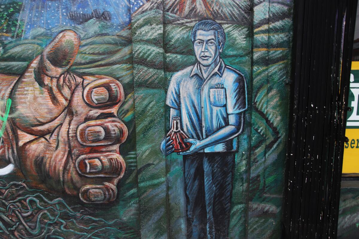 A portrait of Cesar E Chavez