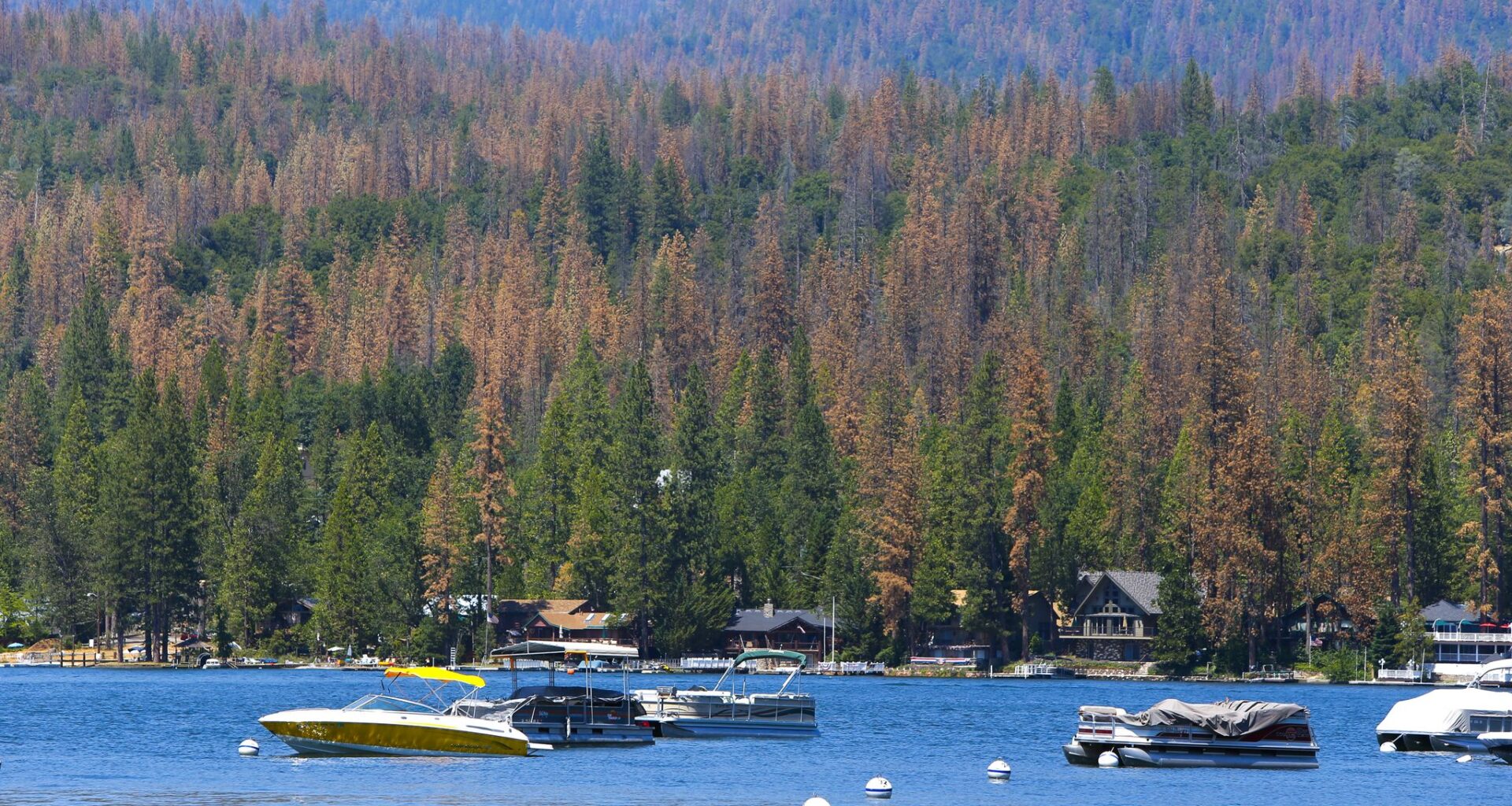 Trump administration cuts key California drought-monitoring program