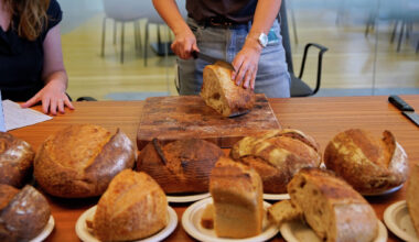 Best sourdough in SF? Chronicle blind-tasted 12 loaves to find out