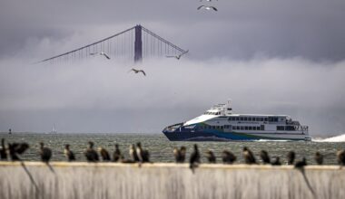 What should we name the next San Francisco Bay Ferry boats?