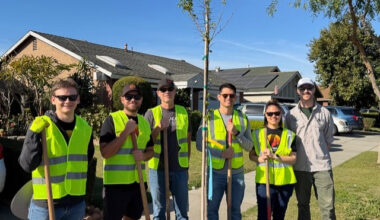 Long Beach Container Terminal plants over 100 trees on Westside – Press Telegram