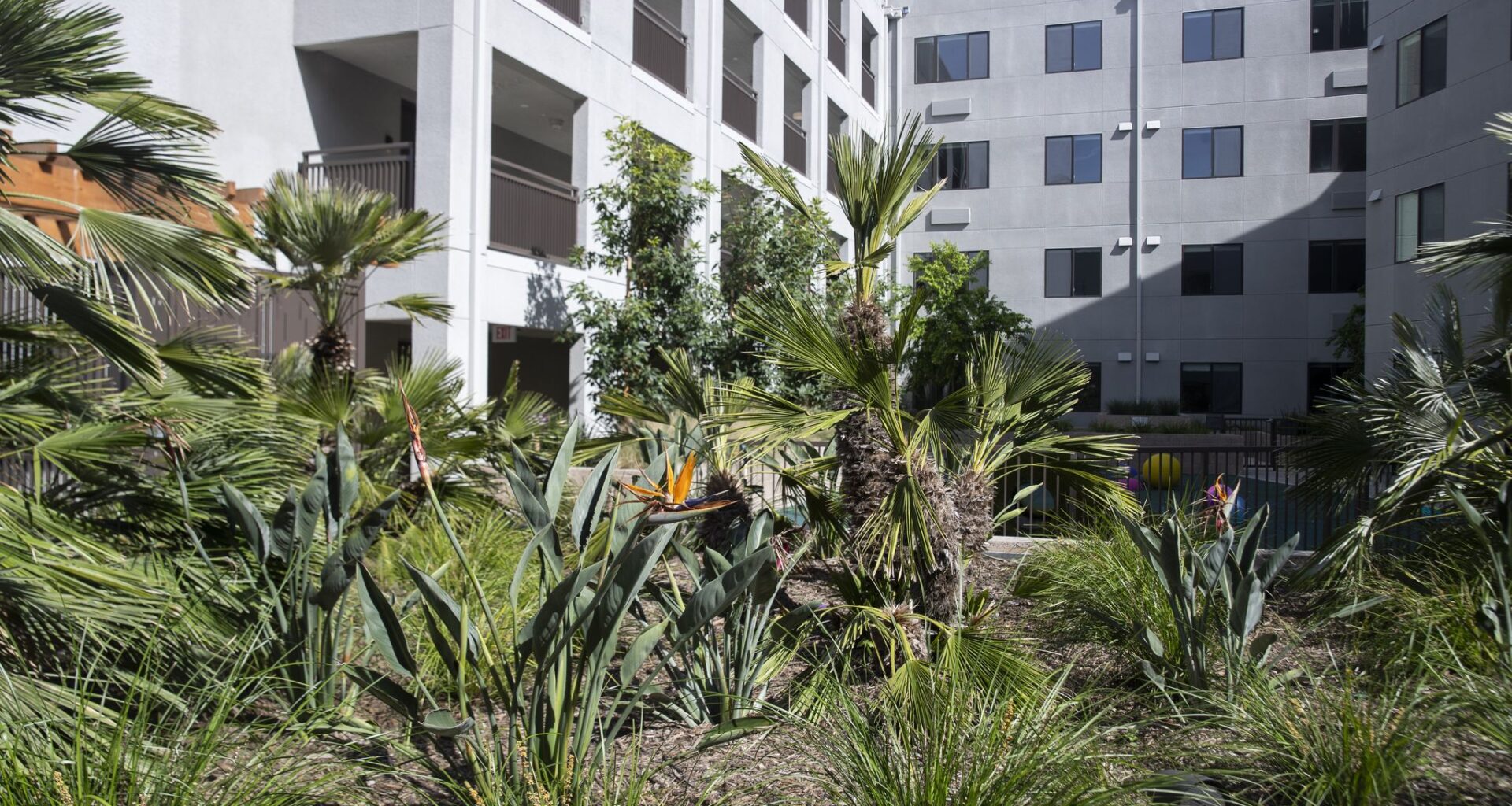 Developer behind Apple campuses pivots to affordable housing