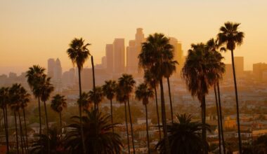 Los Angeles To Track Corporate Ownership Of Rental Housing