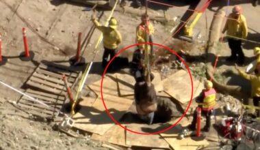 500-pound man falls into hole and rescued by fire department