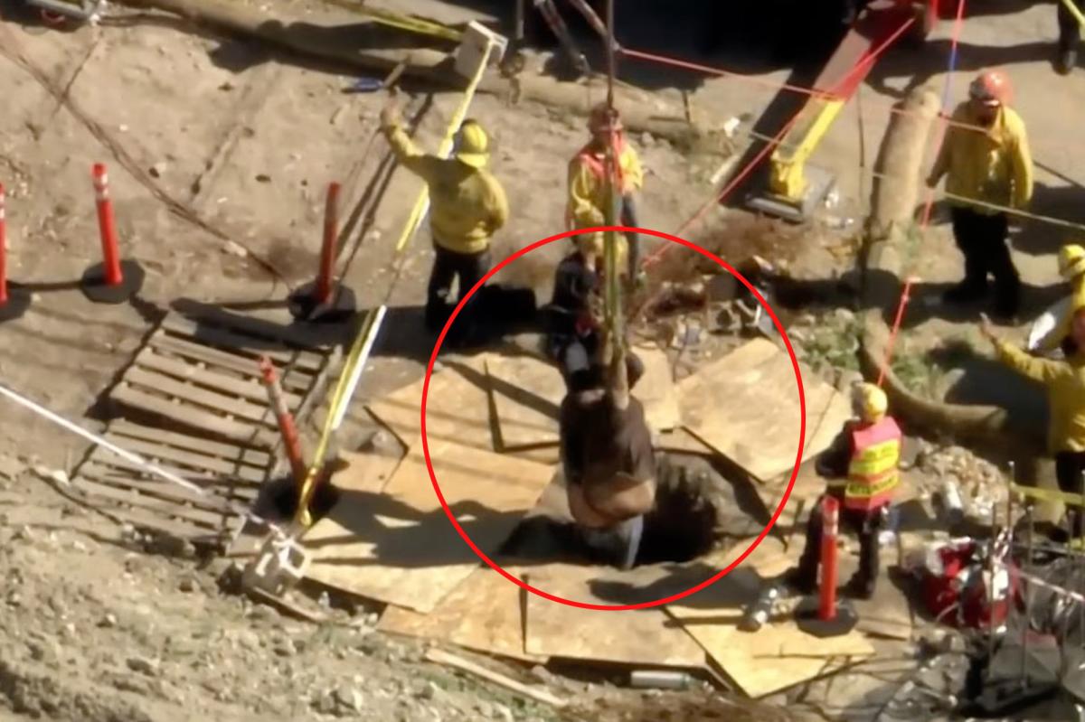 500-pound man falls into hole and rescued by fire department