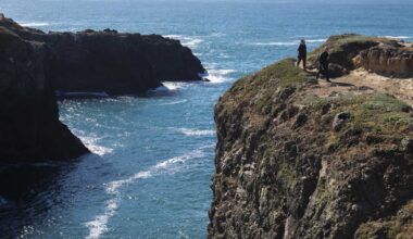 Shark bites surfer at Big River Beach in Mendocino
