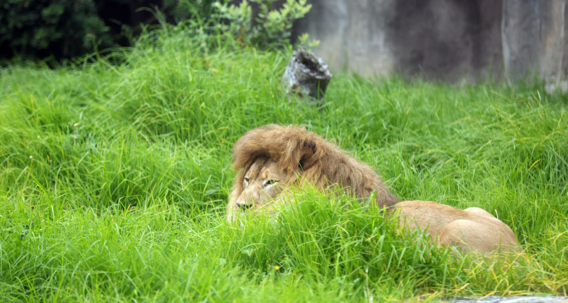 Photo of Tara Duggan