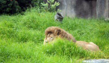 Photo of Tara Duggan