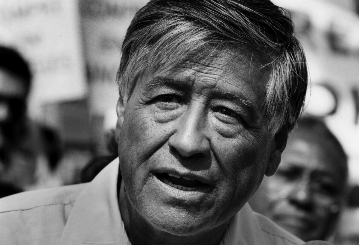Cesar Chavez speaks to supporters at a rally to boycott Tianguis Market