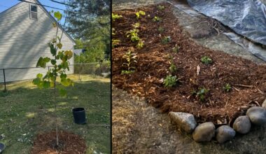 Oakland County's RainSmart Rebates returns to help more residents install rain barrels, gardens, and trees