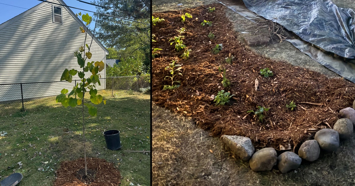 Oakland County's RainSmart Rebates returns to help more residents install rain barrels, gardens, and trees