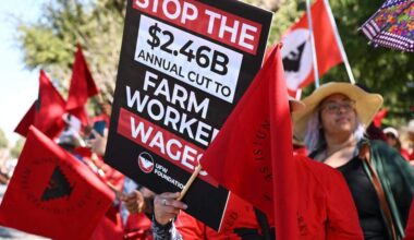 UFW responds to Cesar Chavez allegations and H2A rule fight